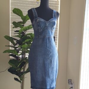 Express Blue Denim Dress